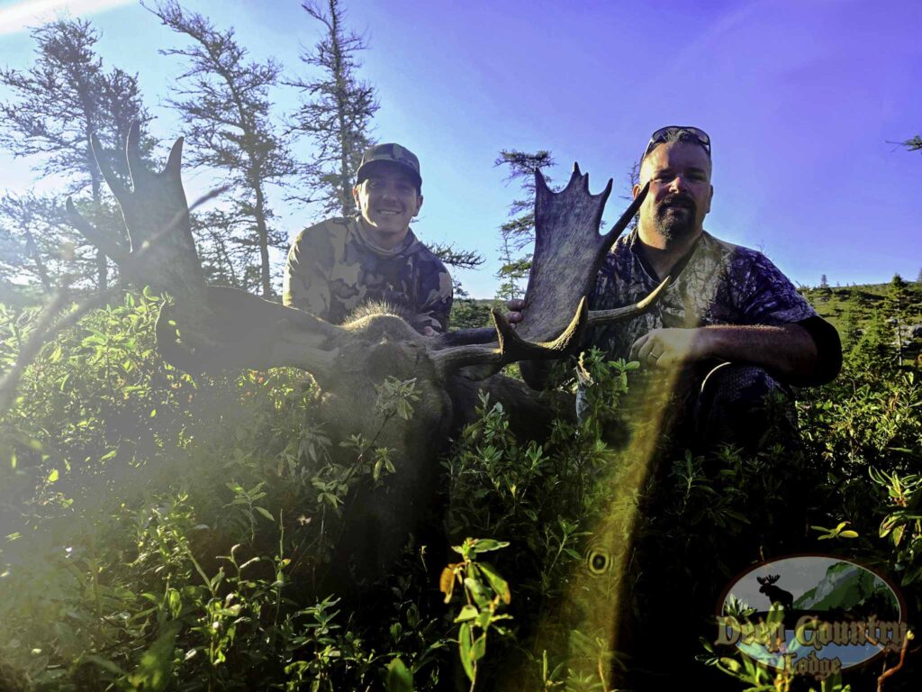 Moose Hunting Newfoundland Canada, Deep Country Lodge