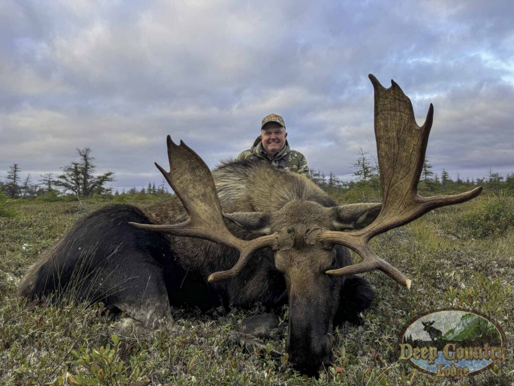Moose Hunting Newfoundland Canada, Deep Country Lodge