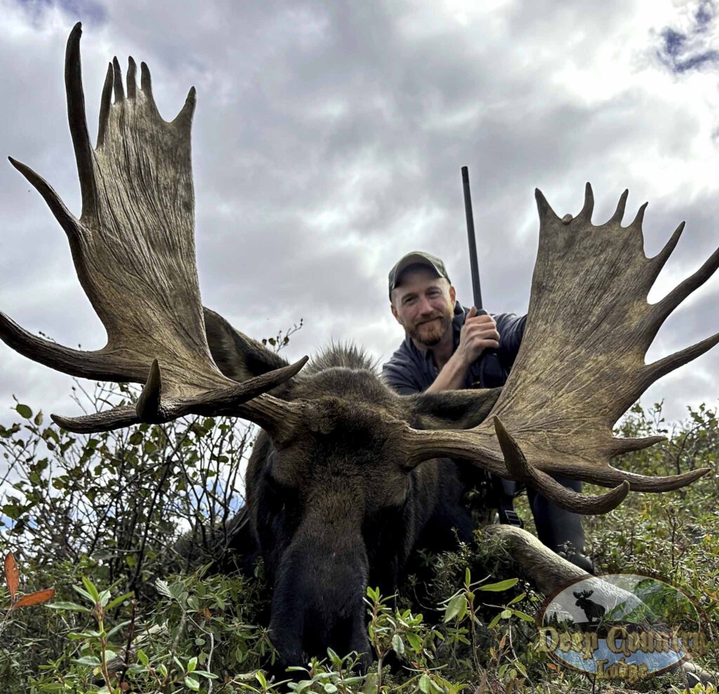 Moose Hunting Newfoundland Canada, Deep Country Lodge