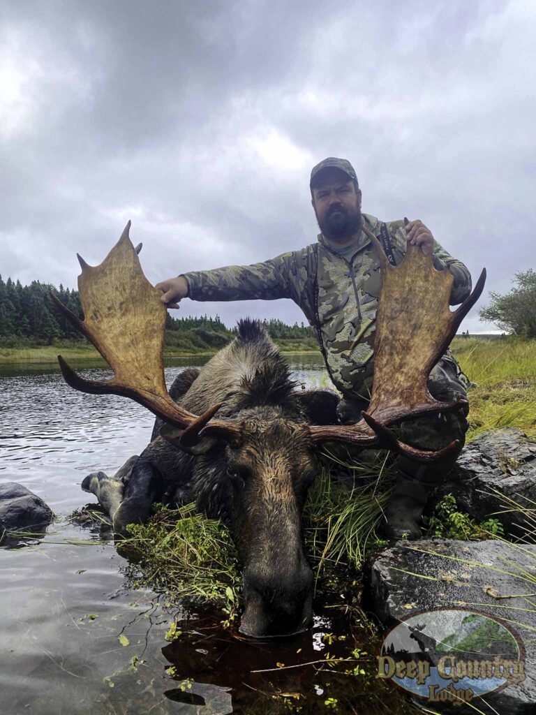 Moose Hunting Newfoundland Canada, Deep Country Lodge