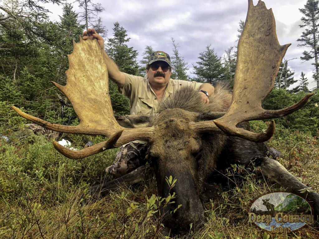 Moose Hunting Newfoundland Canada, Deep Country Lodge