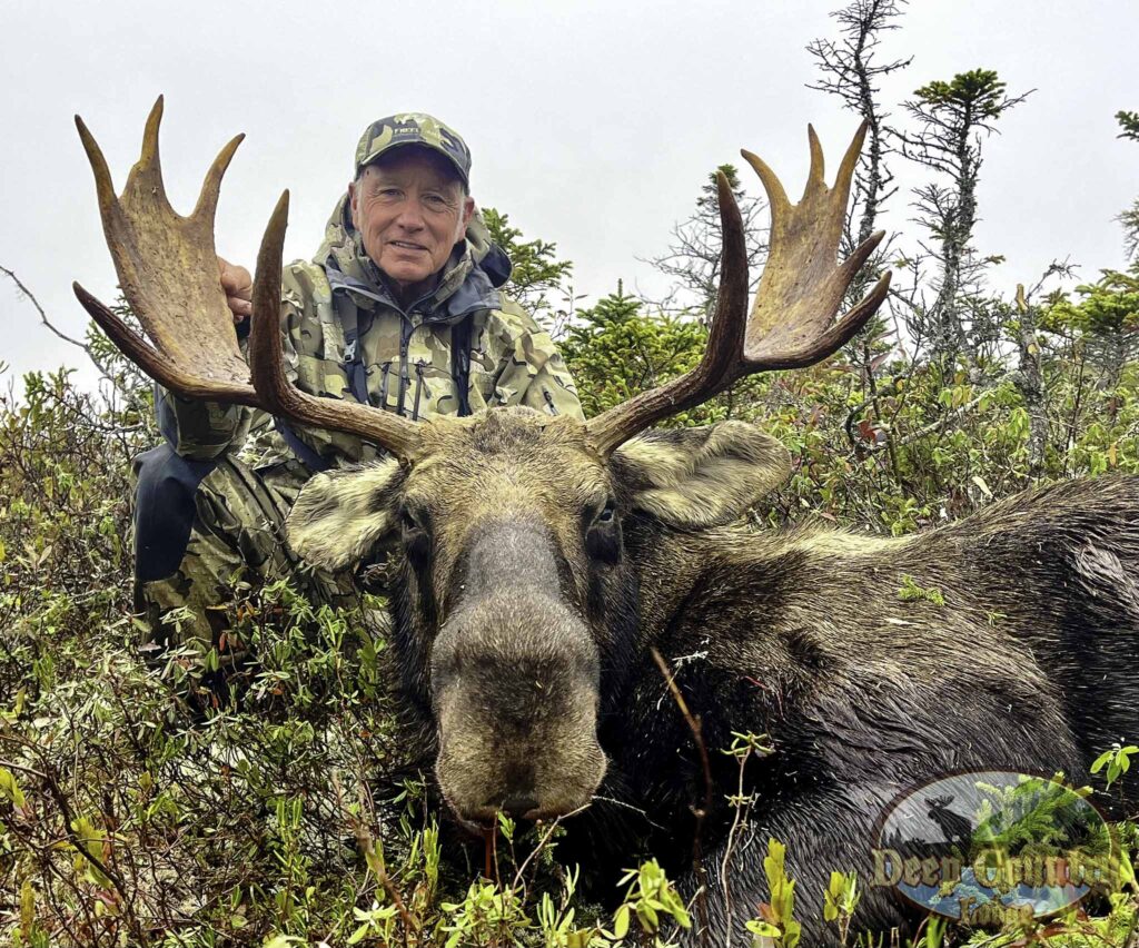 Moose Hunting Newfoundland Canada, Deep Country Lodge