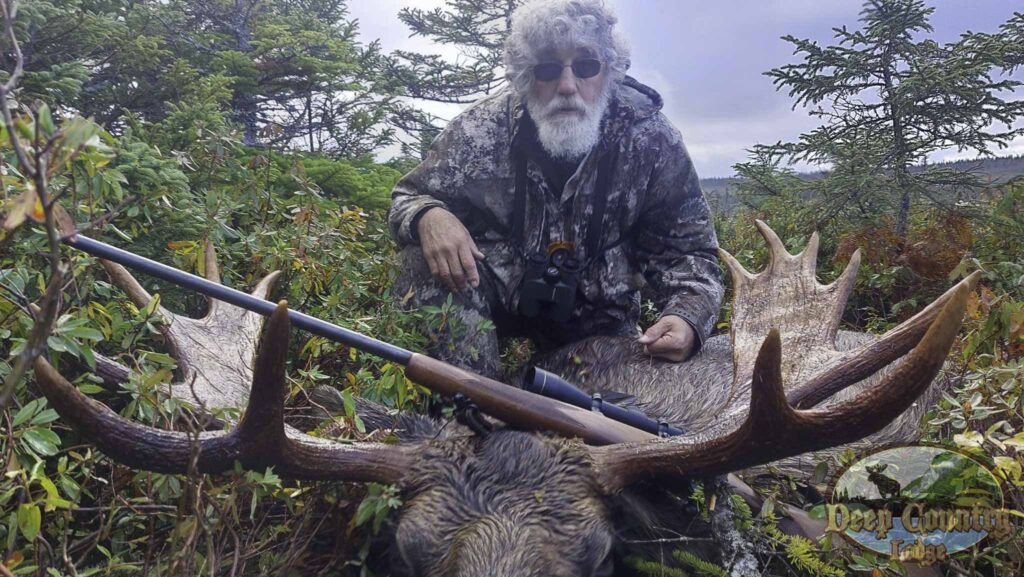 Moose Hunting Newfoundland Canada, Deep Country Lodge
