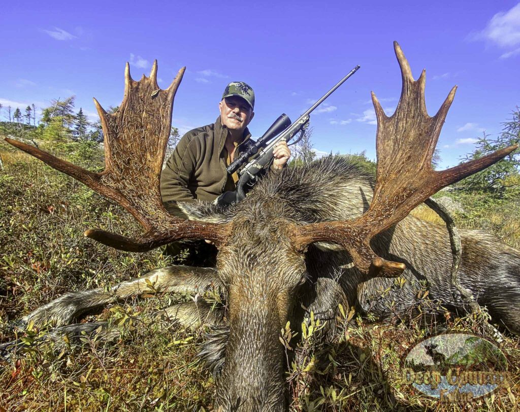 Moose Hunting Newfoundland Canada, Deep Country Lodge