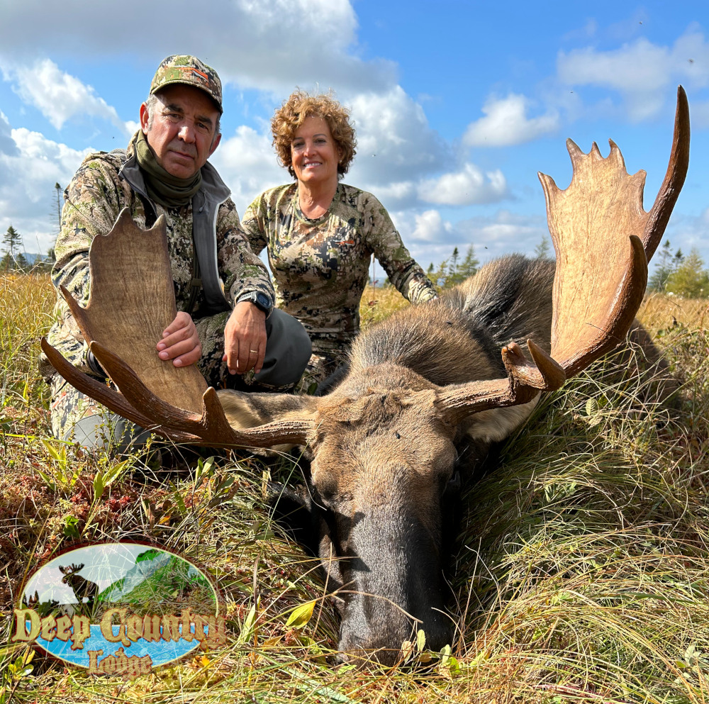 moose hunting nl