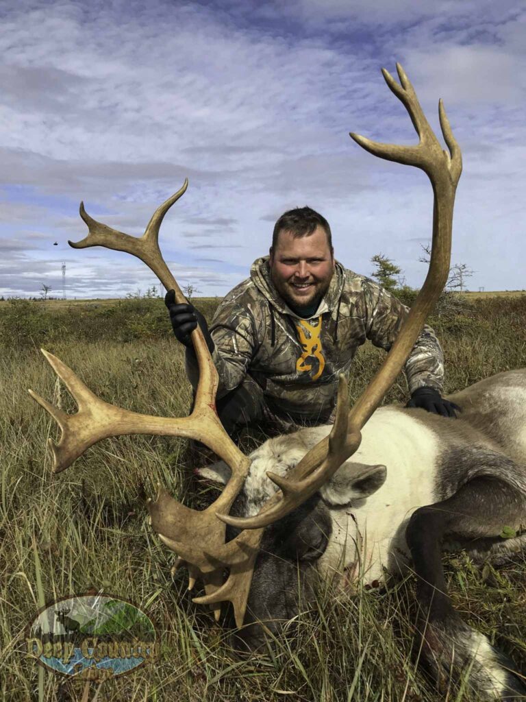 Woodland Caribou, Newfoundland Canada, Deep Country Lodge