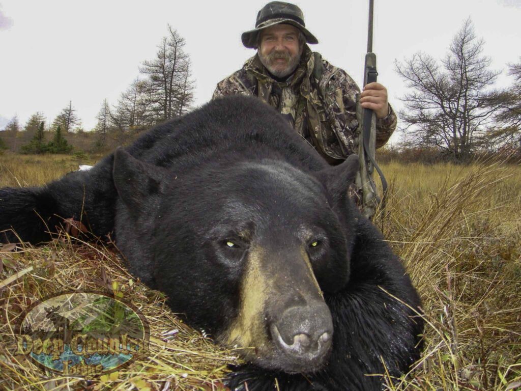 Black Bear hunting Newfoundland Canada Deep Country Lodge