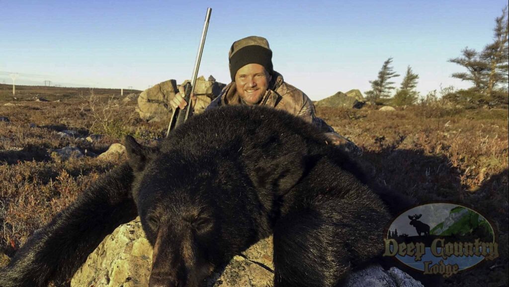 Black Bear hunting Newfoundland Canada Deep Country Lodge