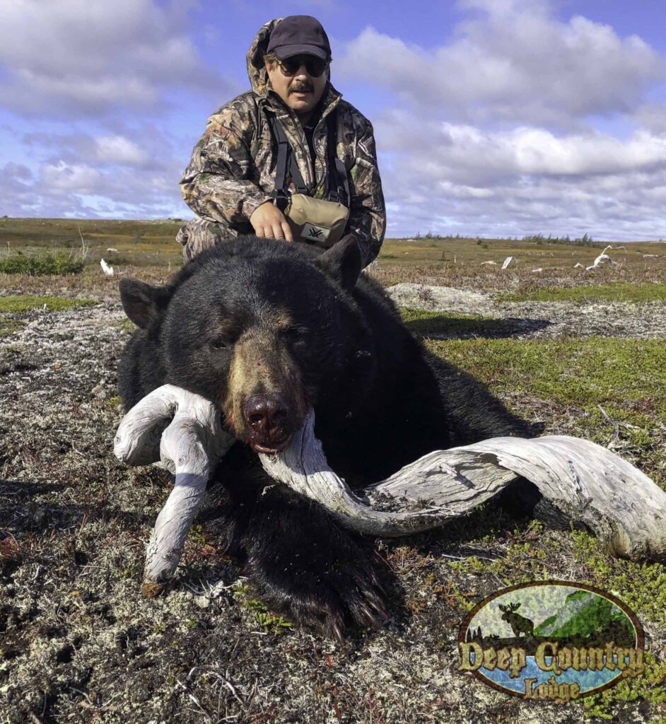 black bear hunting in canada​