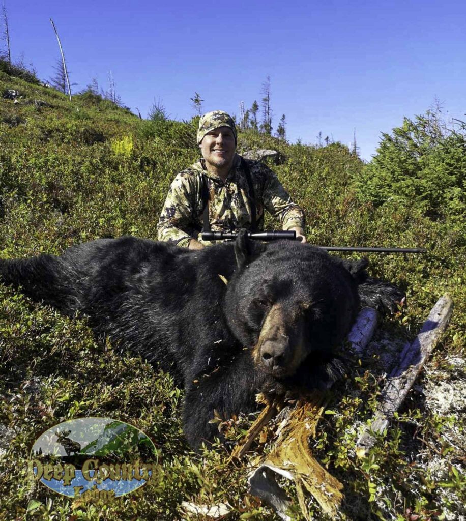 Black Bear hunting Newfoundland Canada Deep Country Lodge