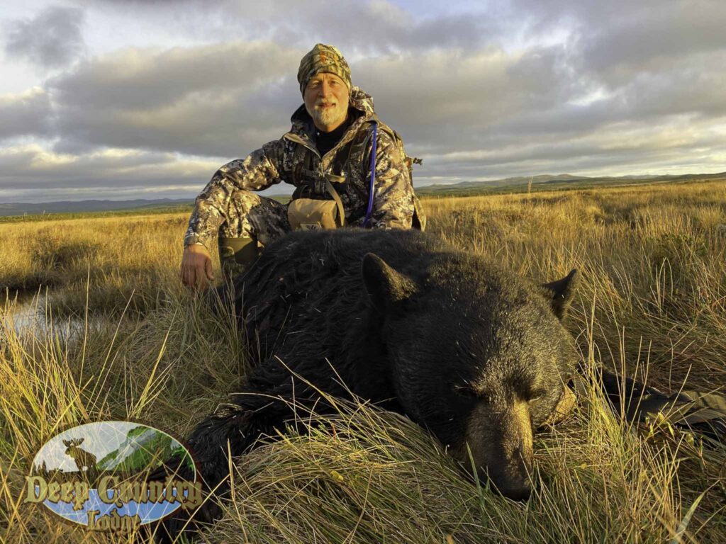 Black Bear hunting Newfoundland Canada Deep Country Lodge