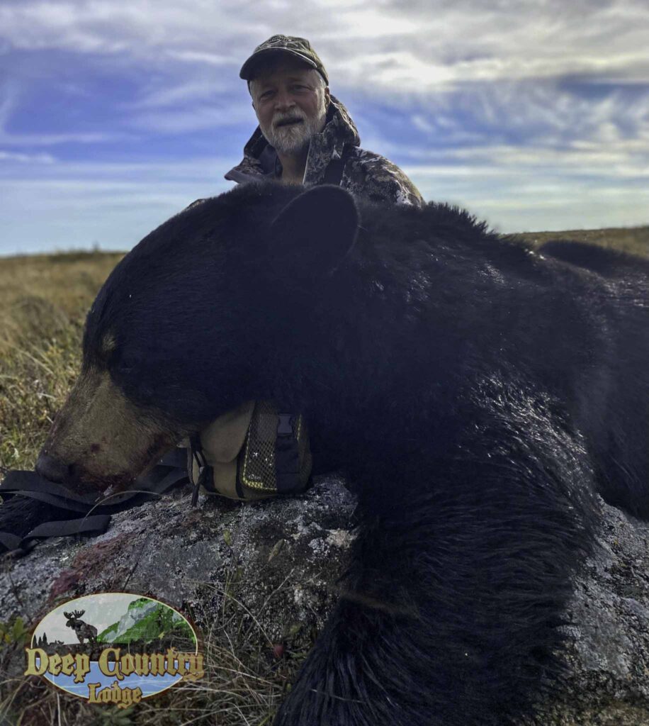 Black Bear hunting Newfoundland Canada Deep Country Lodge