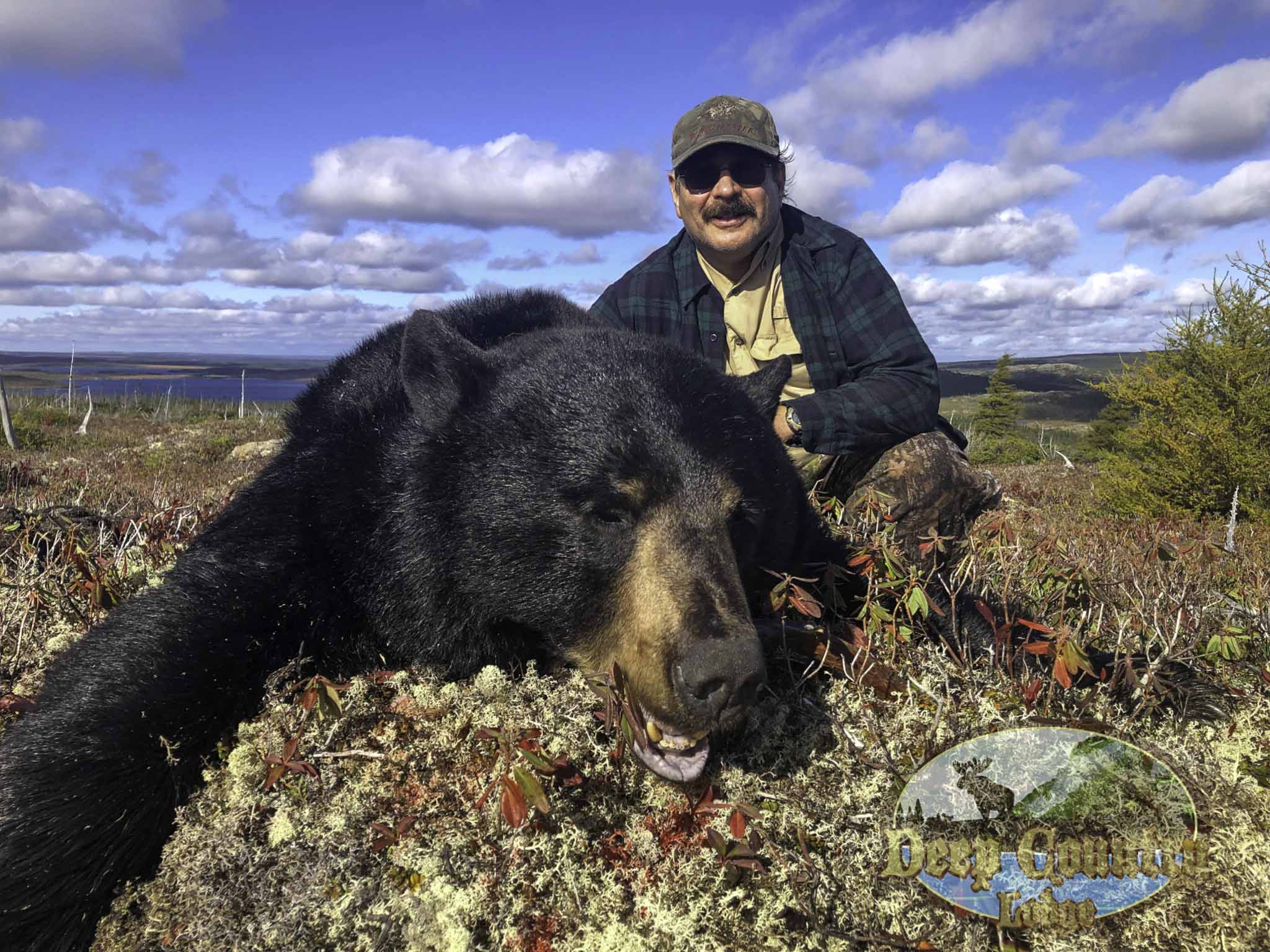 canada black bear hunt