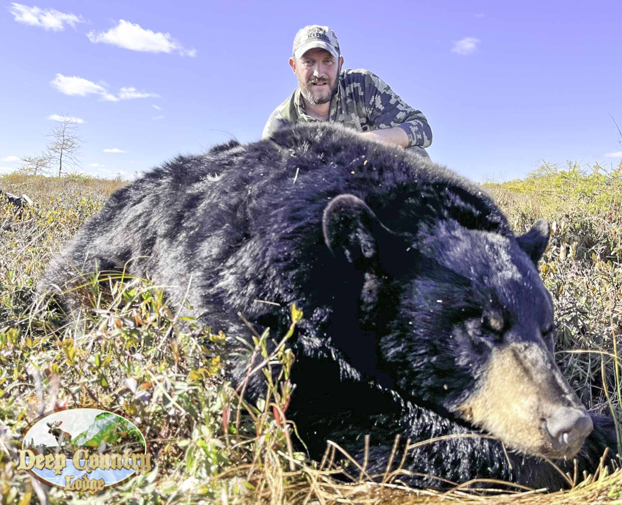 Black Bear hunting Newfoundland Canada Deep Country Lodge