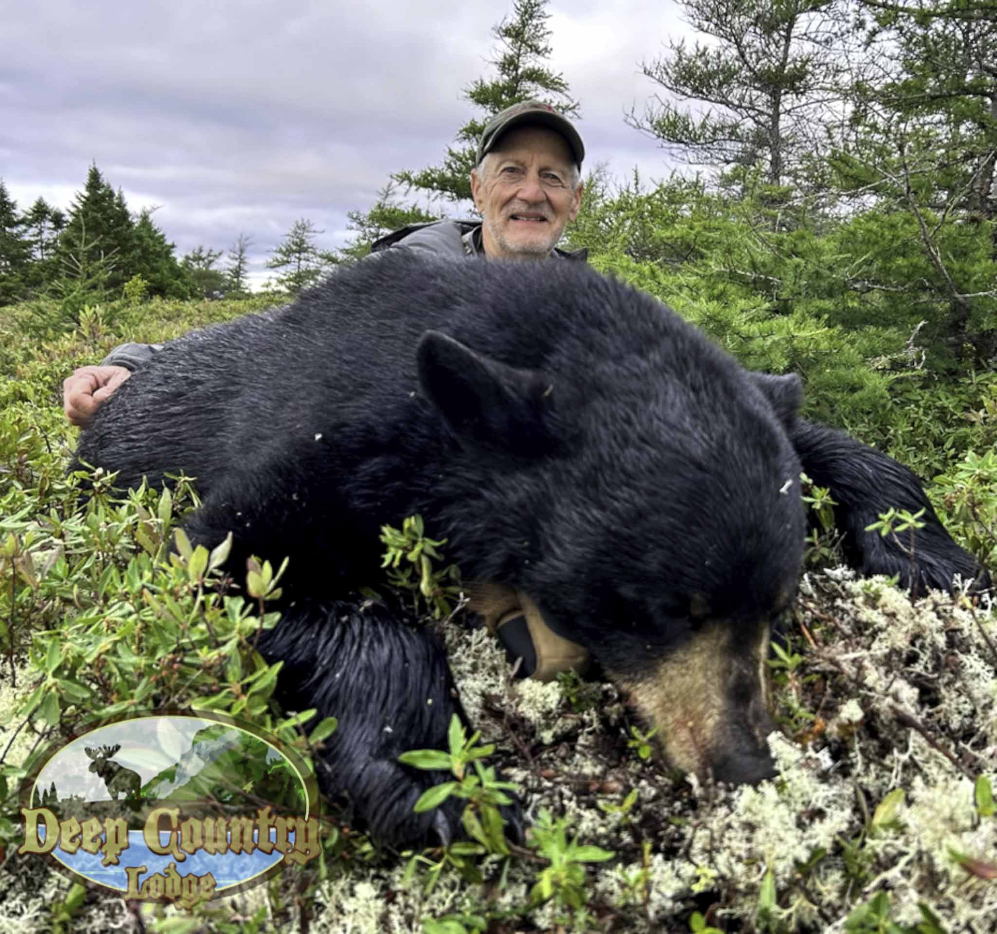 black bear hunts canada