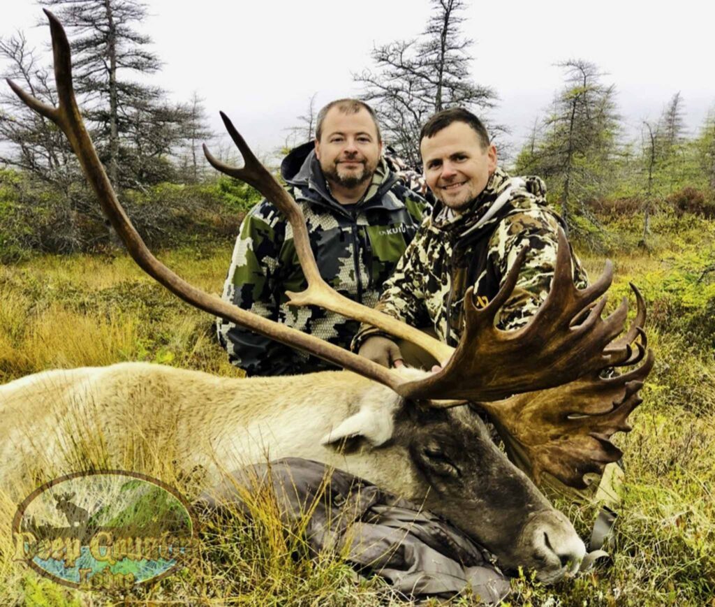 Woodland Caribou, Newfoundland Canada, Deep Country Lodge