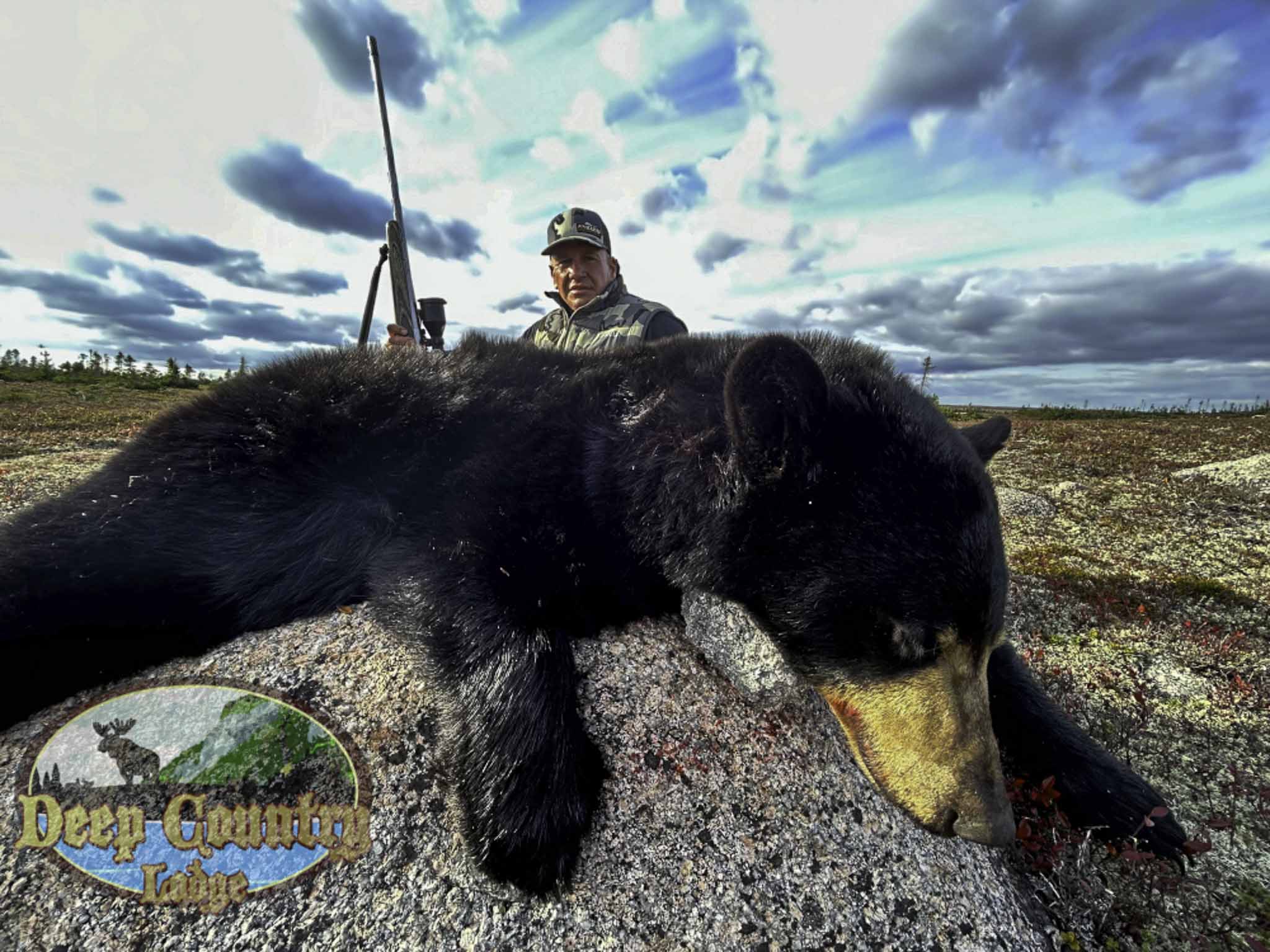 black bear hunting canada