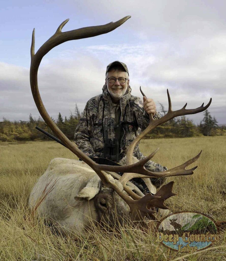 Woodland Caribou, Newfoundland Canada, Deep Country Lodge