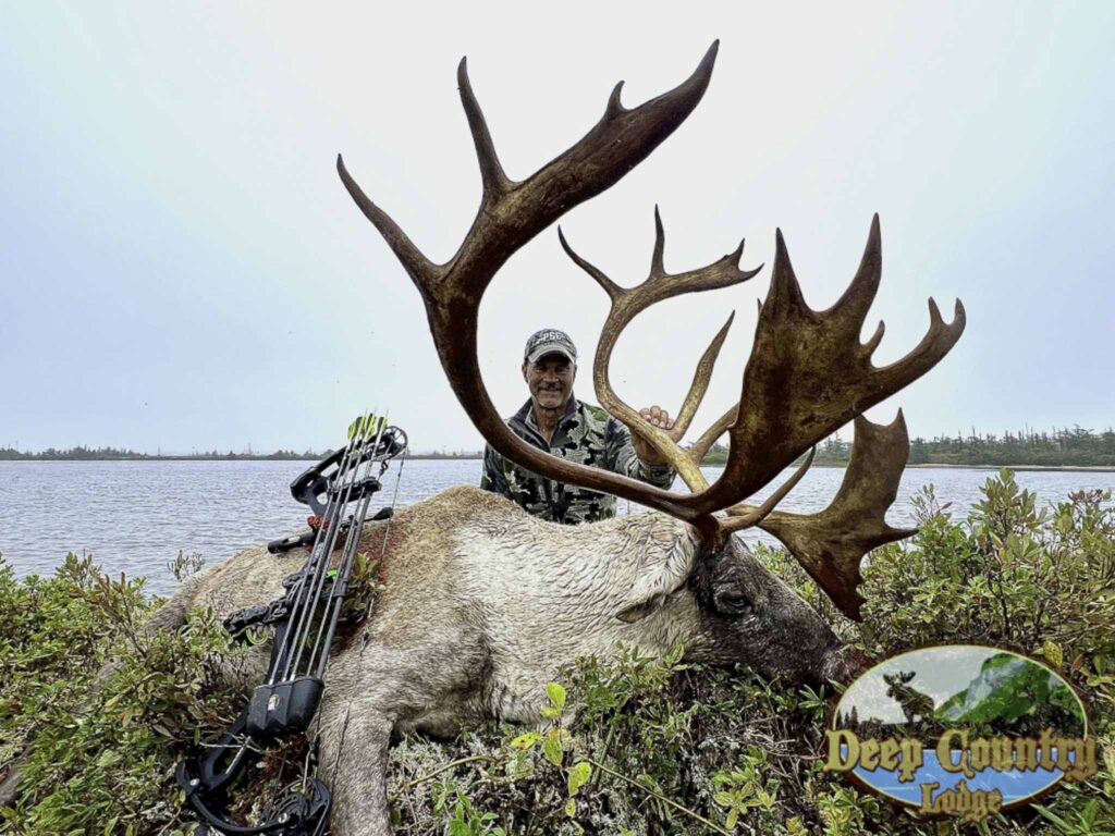 canada caribou hunting