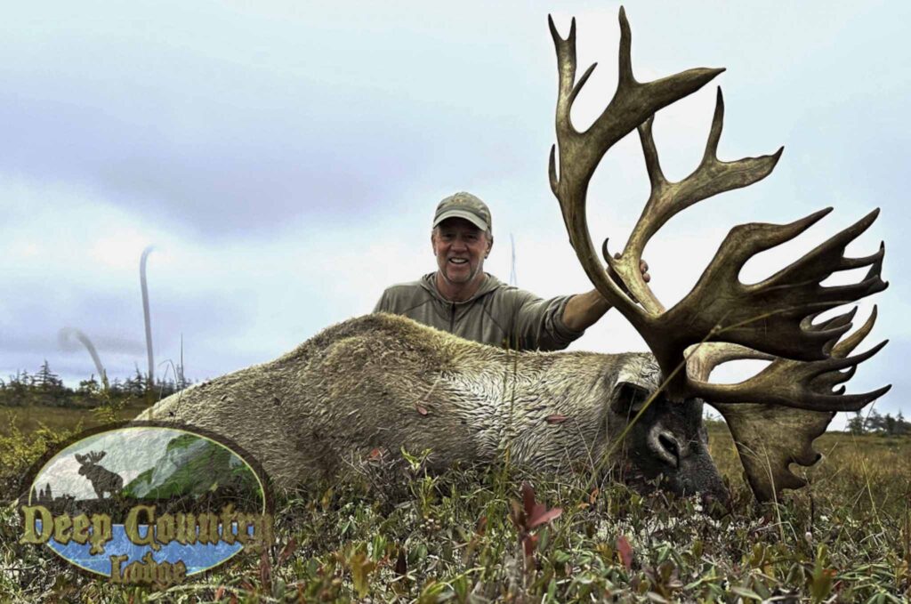 newfoundland caribou hunting