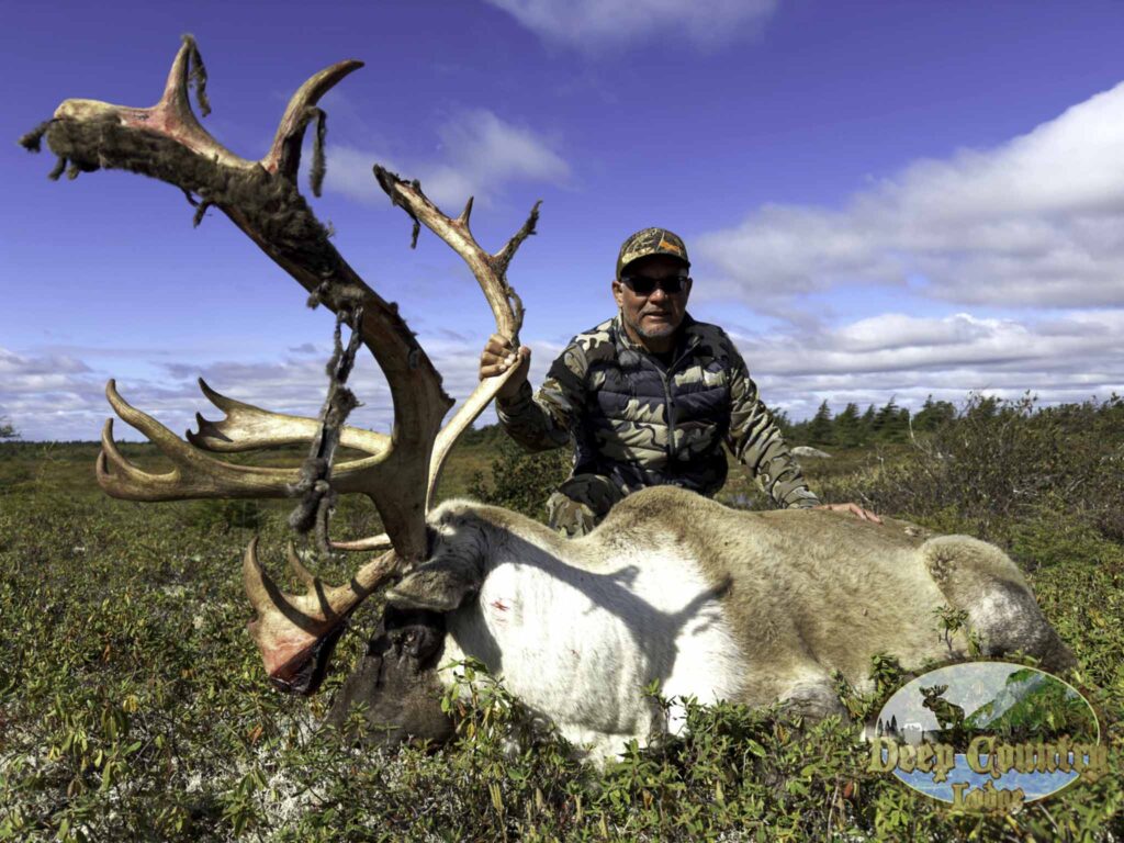canadian caribou hunting outfitters​