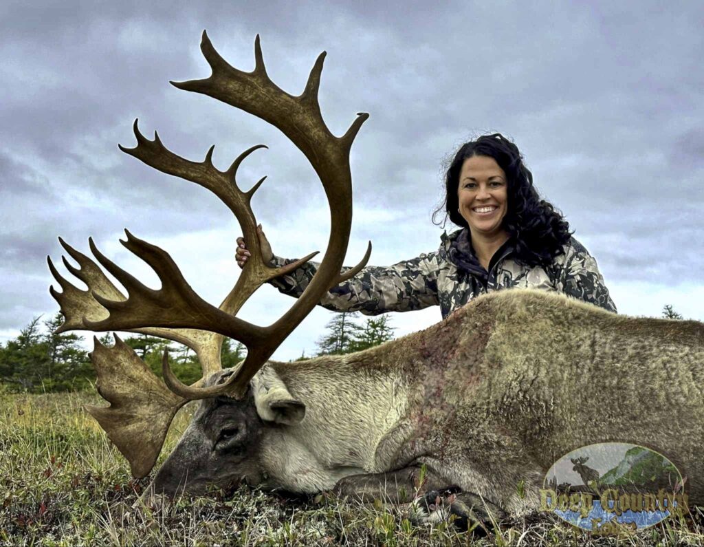 caribou hunting newfoundland​