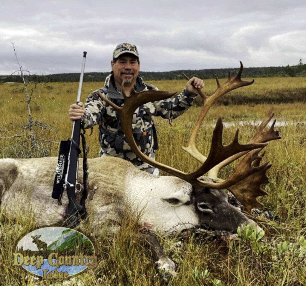 woodland caribou hunting newfoundland​