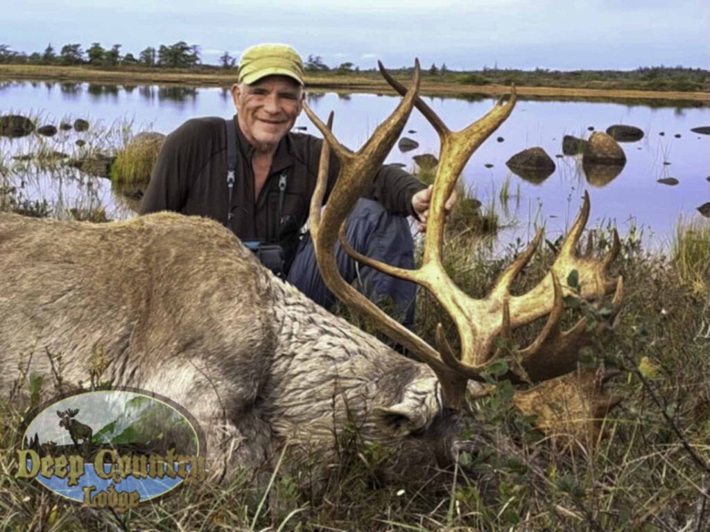 woodland caribou hunting in newfoundland​