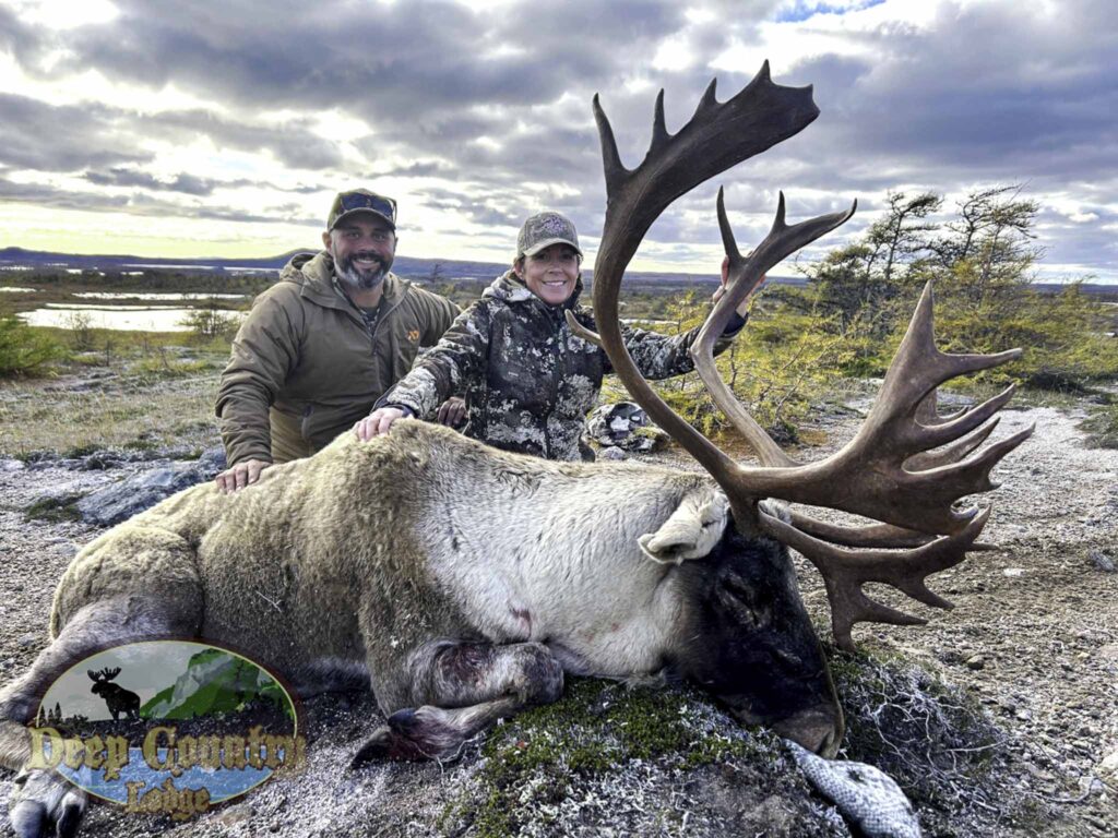 newfoundland caribou hunting prices​