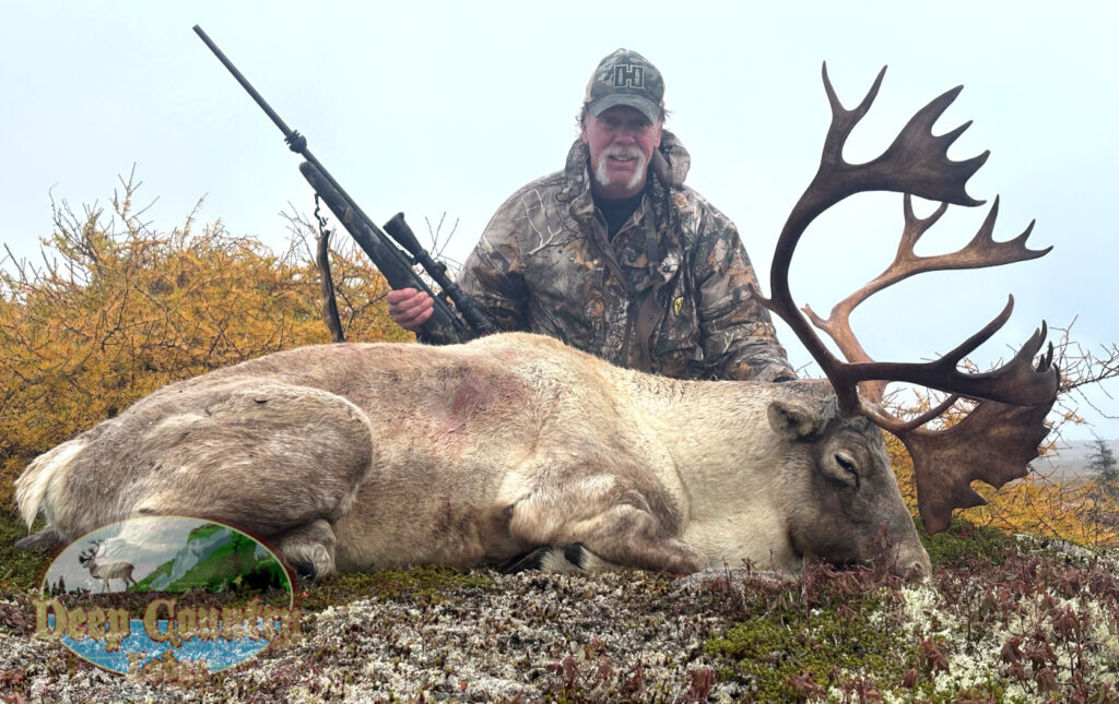 Woodland Caribou
