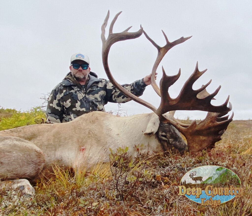 Woodland Caribou