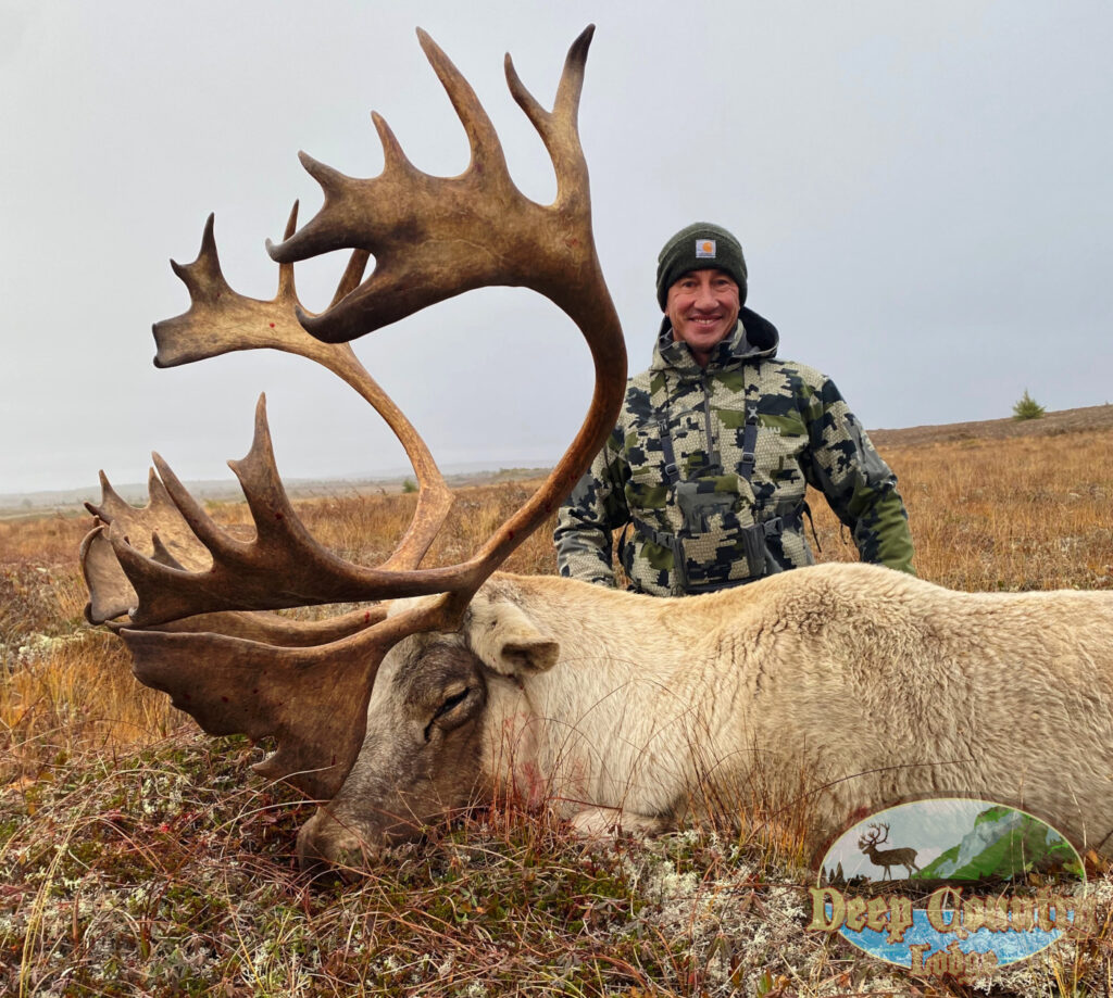 Woodland Caribou