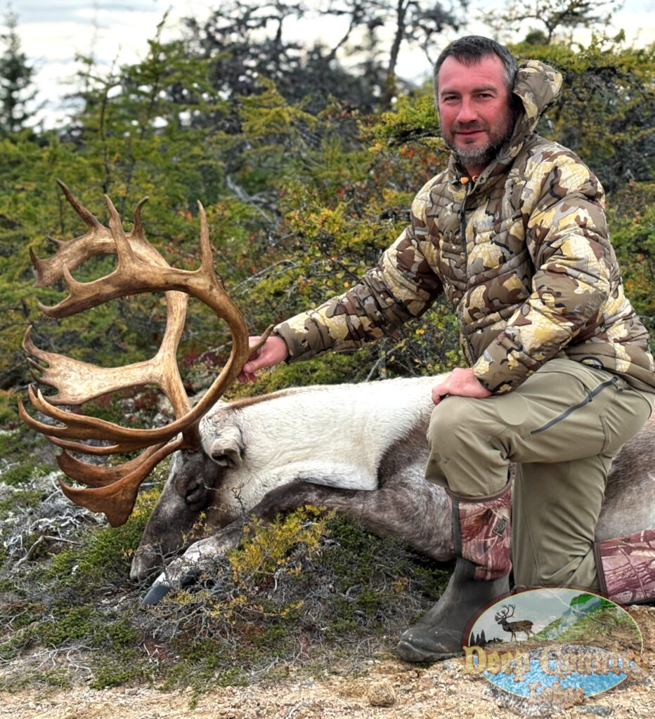 Woodland Caribou
