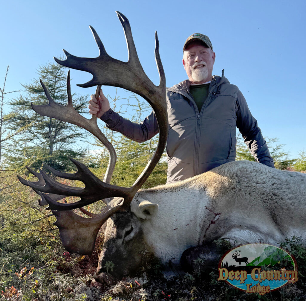 Woodland Caribou