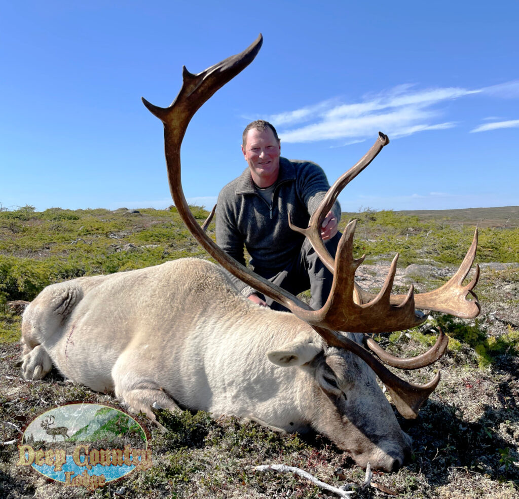 Woodland Caribou