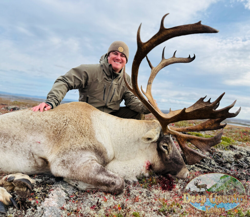 Woodland Caribou