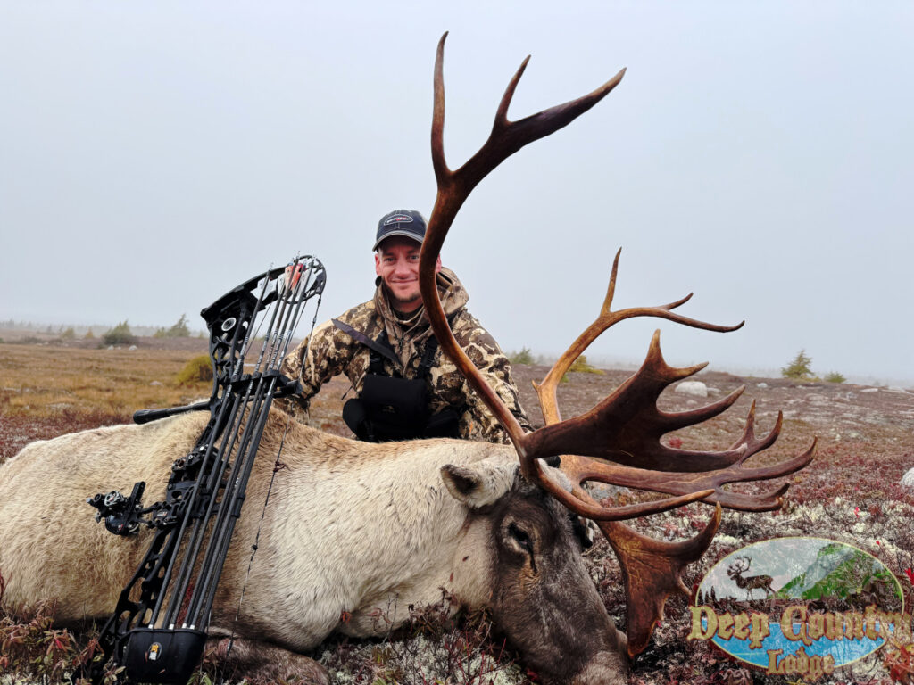 Woodland Caribou