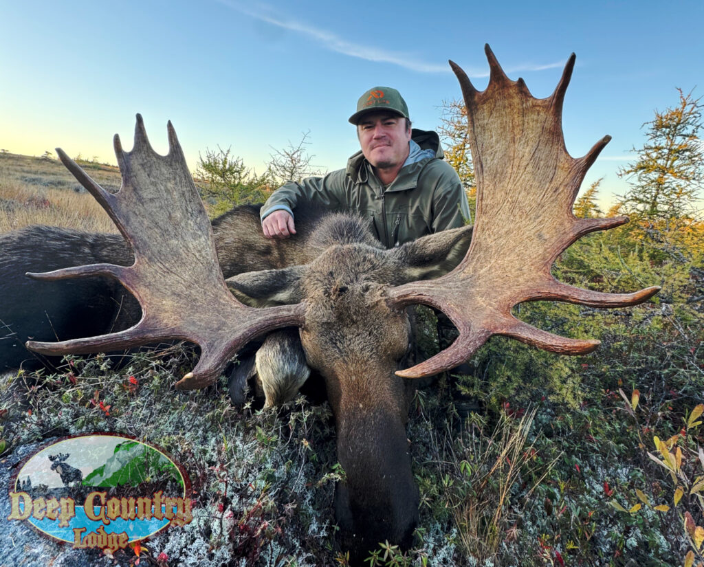 Moose