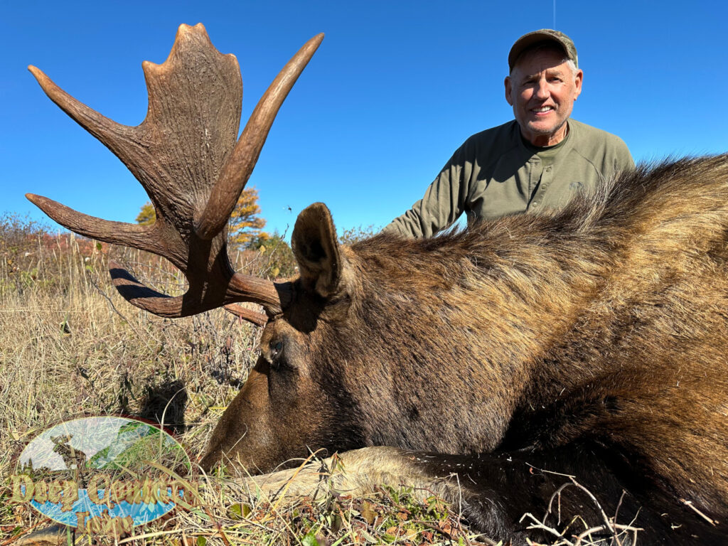 Moose