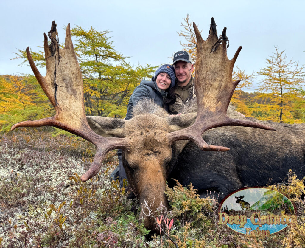 Moose