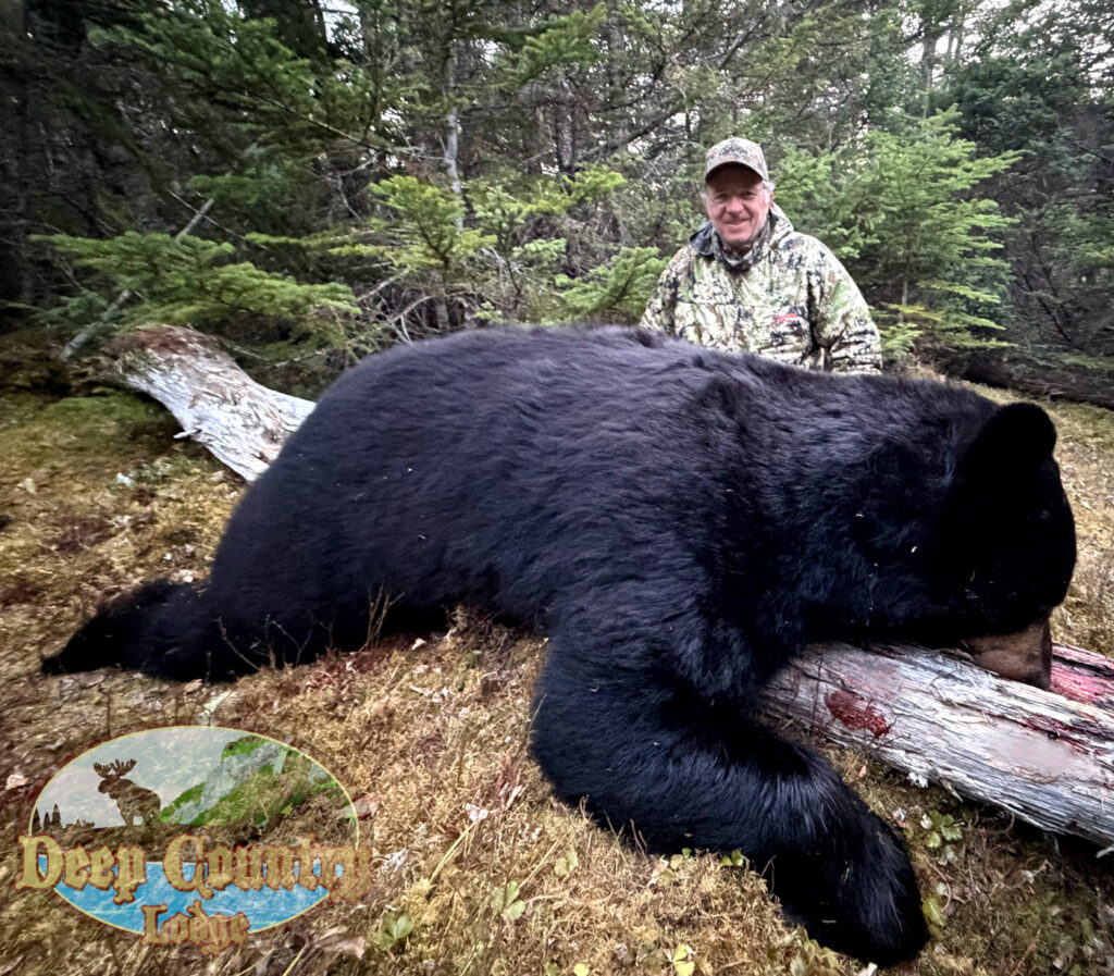 Spring Black Bear Hunting - Deep Country Lodge, Canada