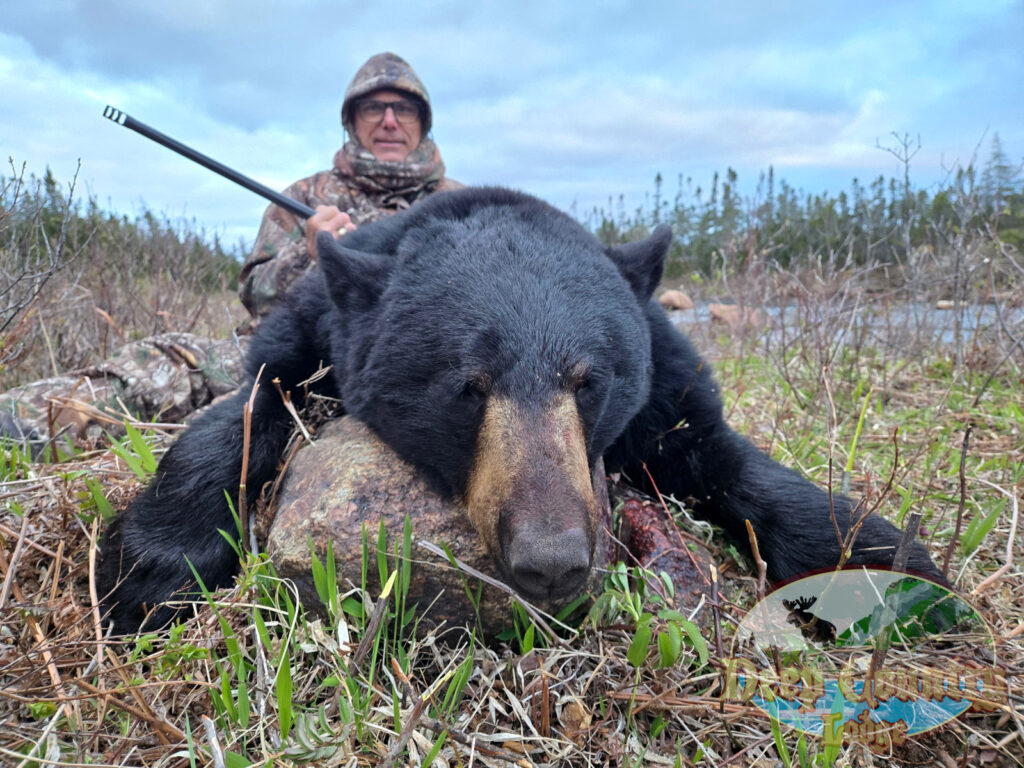 Hunter in camouflage with a rifle behind a large dead black bear lying on a grassy clearing in a field of brush and sky above.