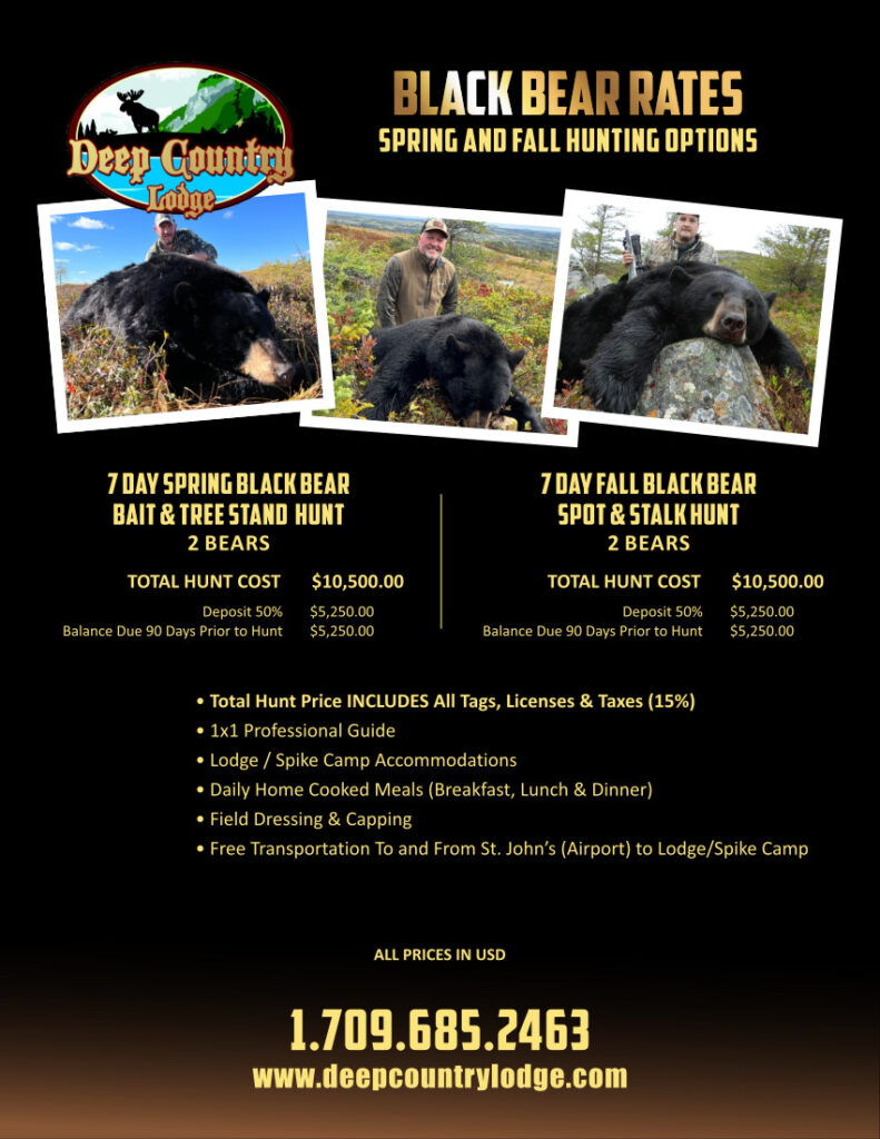 Ad for Deep Country Lodge: Black Bear Rates with two 7‑day hunt options and hunter‑with‑bear photos.