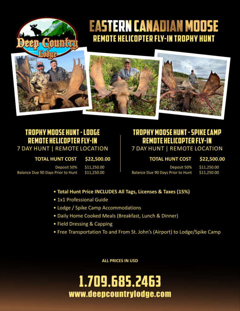 Poster for Deep Country Lodge advertising Eastern Canadian Moose remote helicopter trophy hunt with three action photos and lodge logo, price details, and contact info present in bold text on black background.