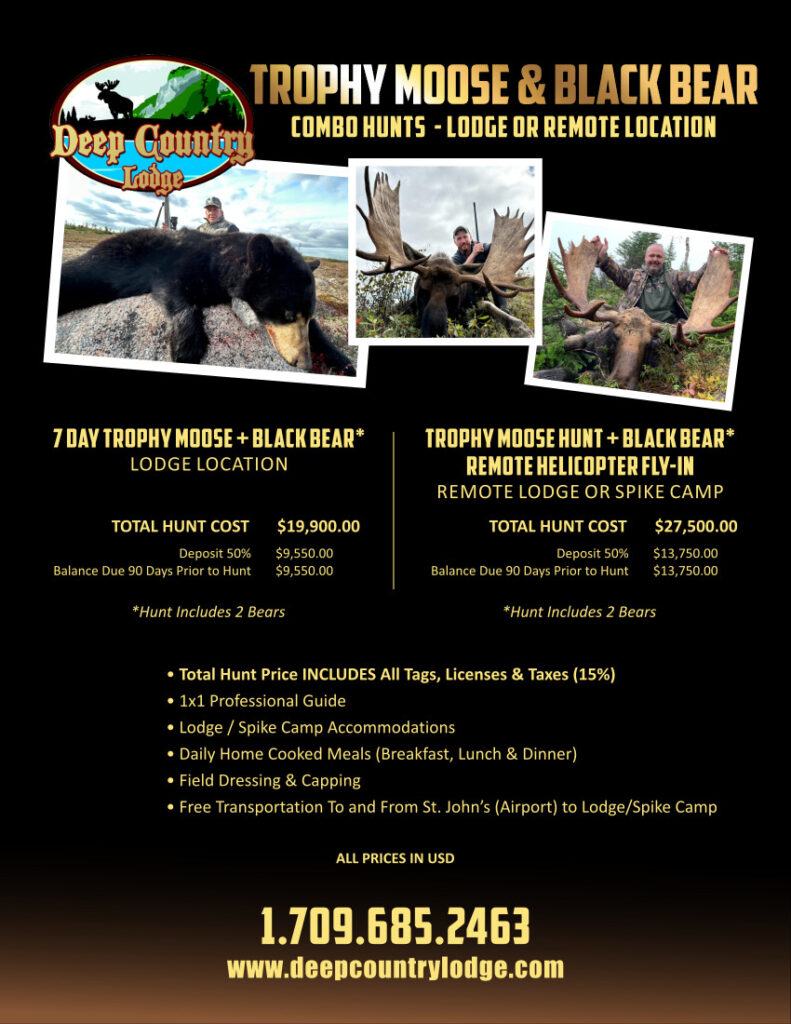 Poster advertising Trophy Moose & Black Bear hunts by Deep Country Lodge, with three photo frames and price details.