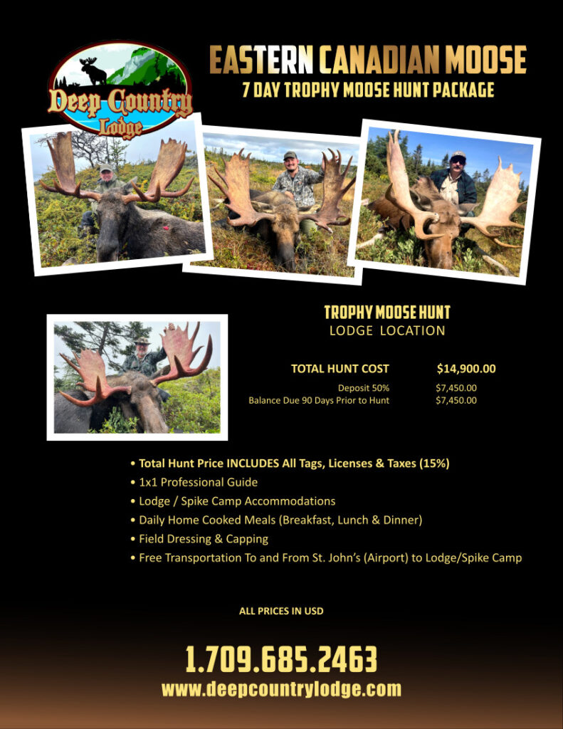 Promotional flyer for Eastern Canadian Moose Trophy Hunt: Deep Country Lodge logo, four photos of hunters with large moose, package details, price ,900, inclusions, and contact info.