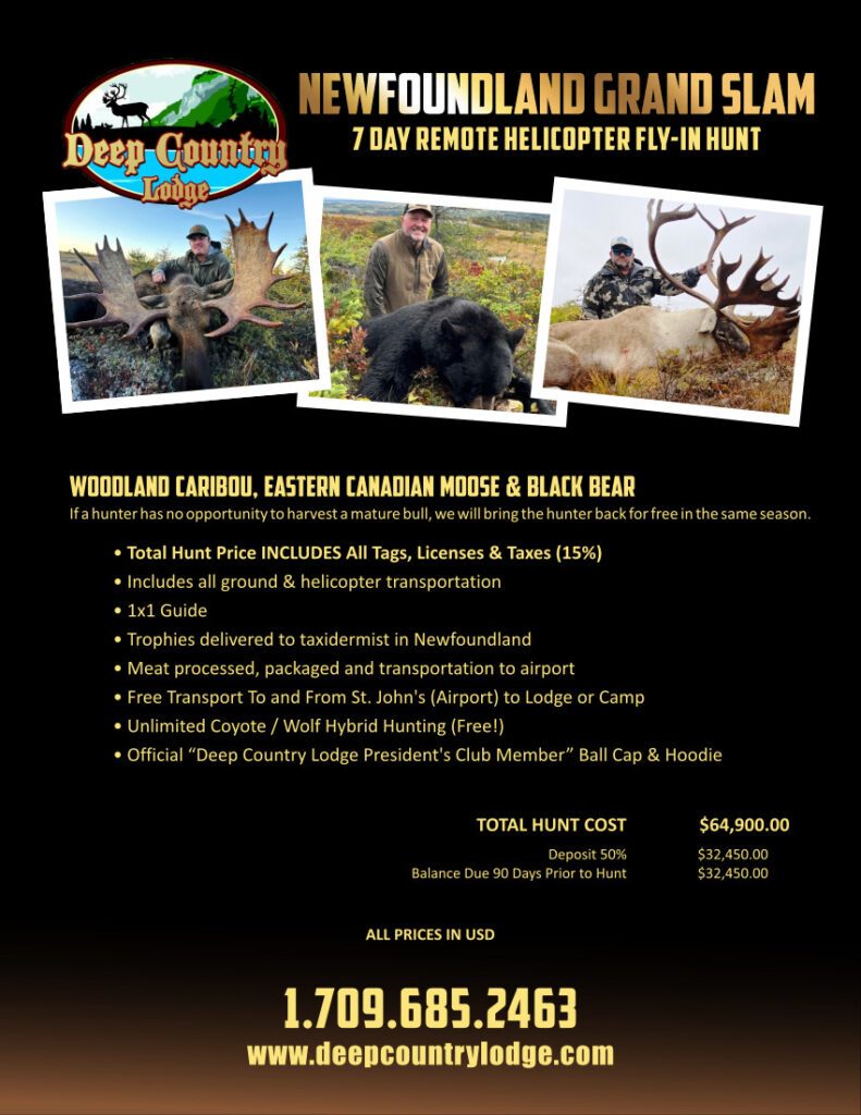 Advertisement poster for a 7-day Newfoundland hunting trip called 'Newfoundland Grand Slam' with three photos of moose and bear and a lodge logo, plus pricing details.