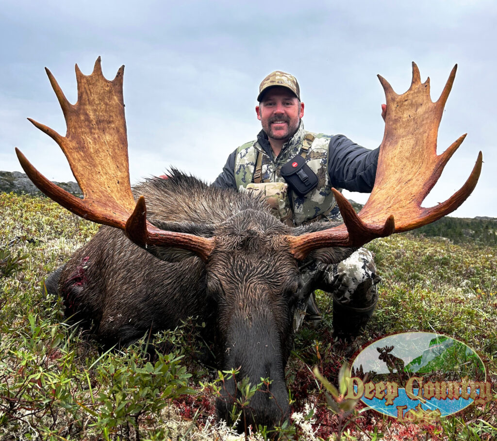 Deep Country Lodge - Trophy Moose Hunting - Newfoundland, Canada