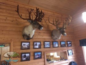Northwest Lookout Lodge - Deep Country Lodge