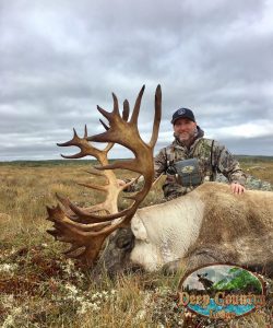 Steve Ecklund 2016 Trophy Woodland Caribou Newfoundland at Deep Country